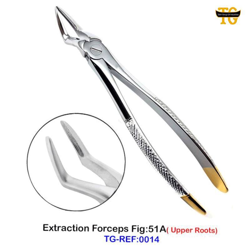 Extraction Forceps Fig:51A, dental instruments, TGI's own catalog photograph
