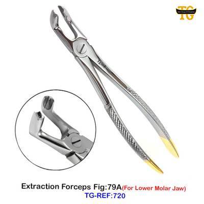 Extraction Forceps Fig:79A, TGI's own catalog photograph