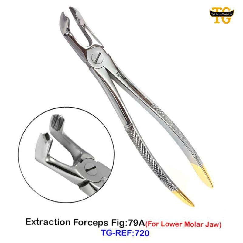 Extraction Forceps Fig:79A, dental instruments, TGI's own catalog photograph