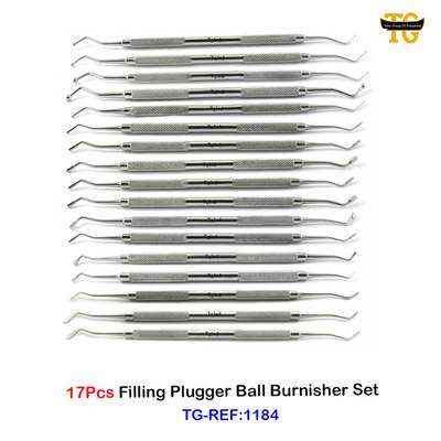 17Pcs Filling Plugger Ball Burnisher Set, dental instruments, TGI's own catalog photograph