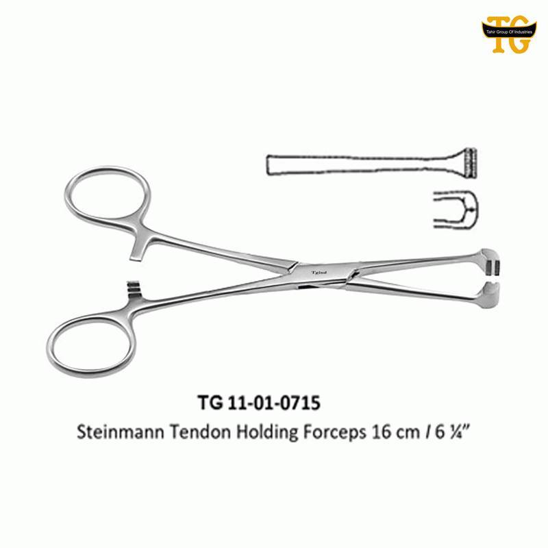 Steinmen Tendon Forceps, orthopedic instruments, TGI's own catalog photograph